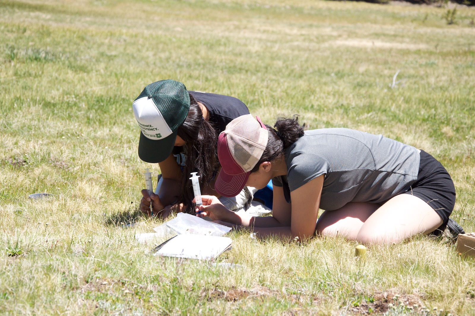 Ang Diku Sherpa (REU 2014) at one of her field sites.