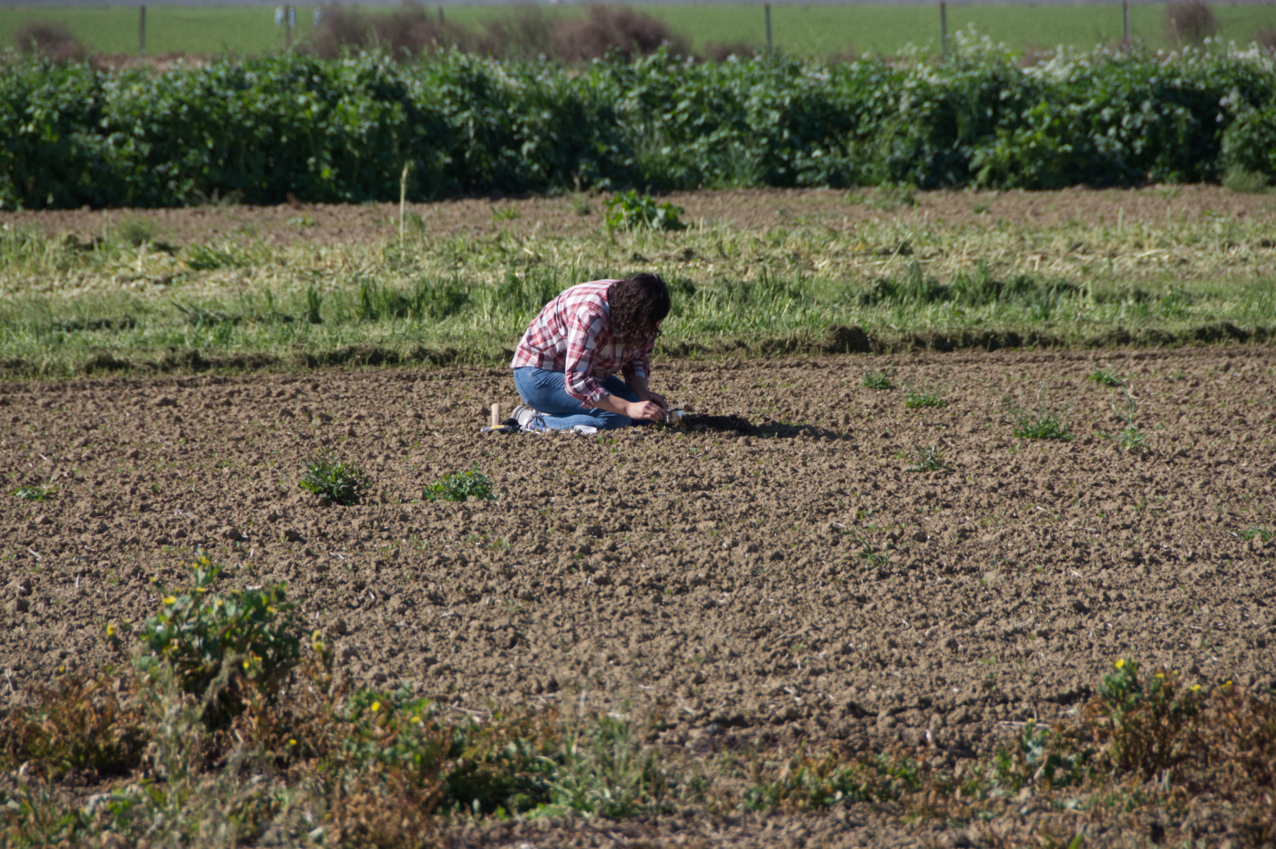 Jennifer Alvarez sampling soils
