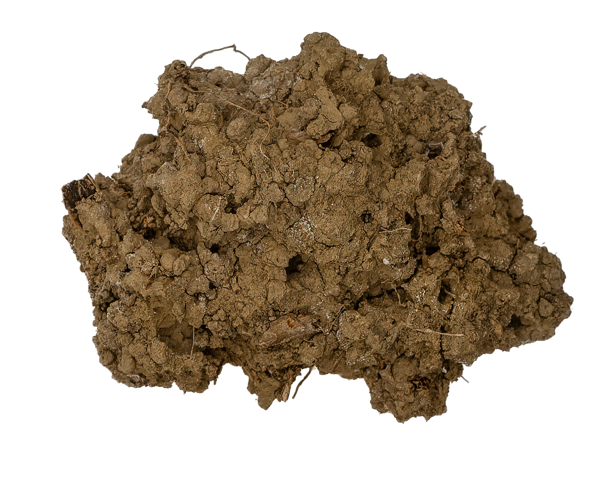 Soil aggregation and bio-pores