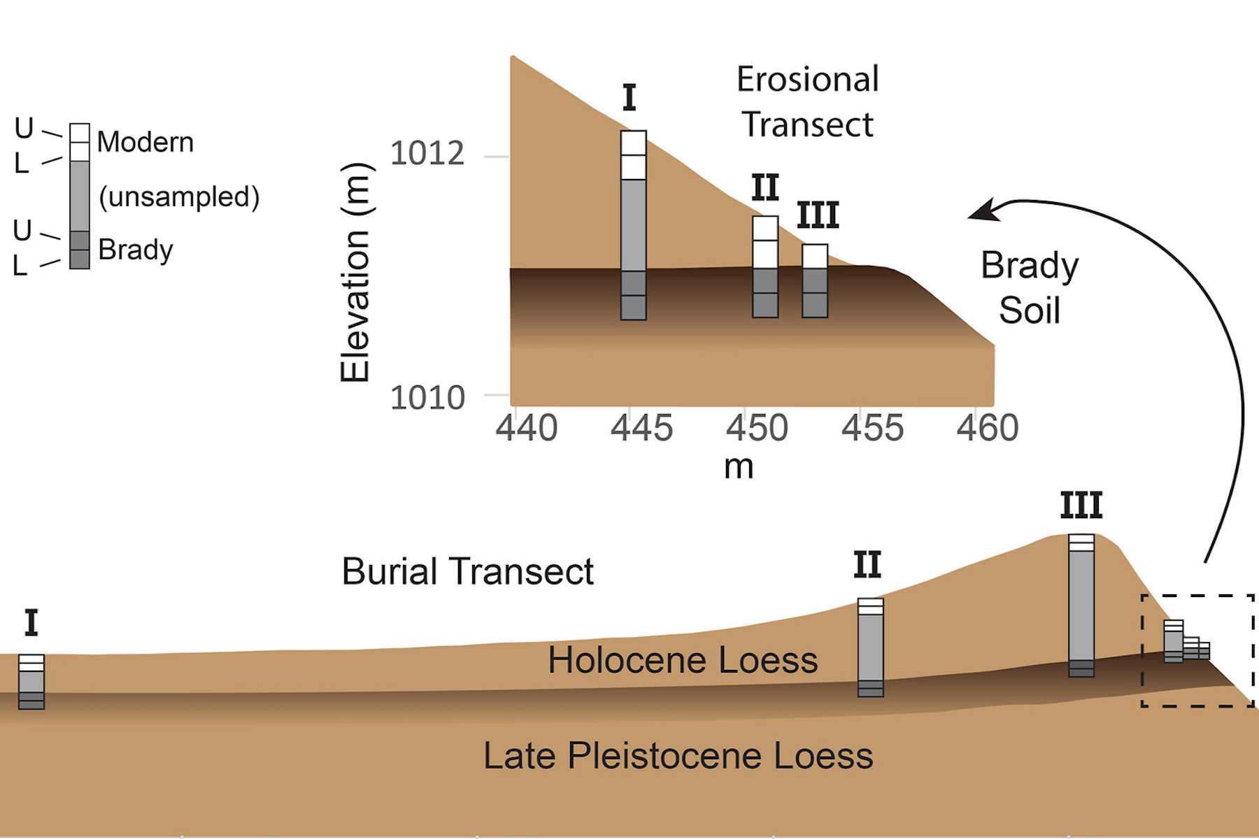 Graphical Abstract