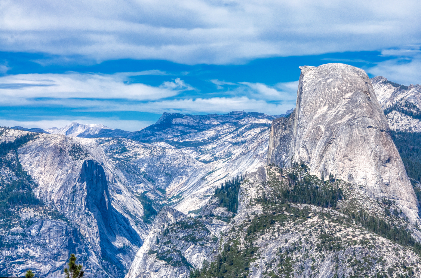 Half Dome from Washburn Point