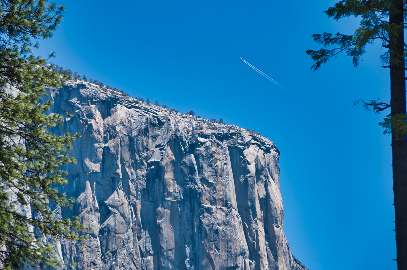 Top of El Capitan 2019