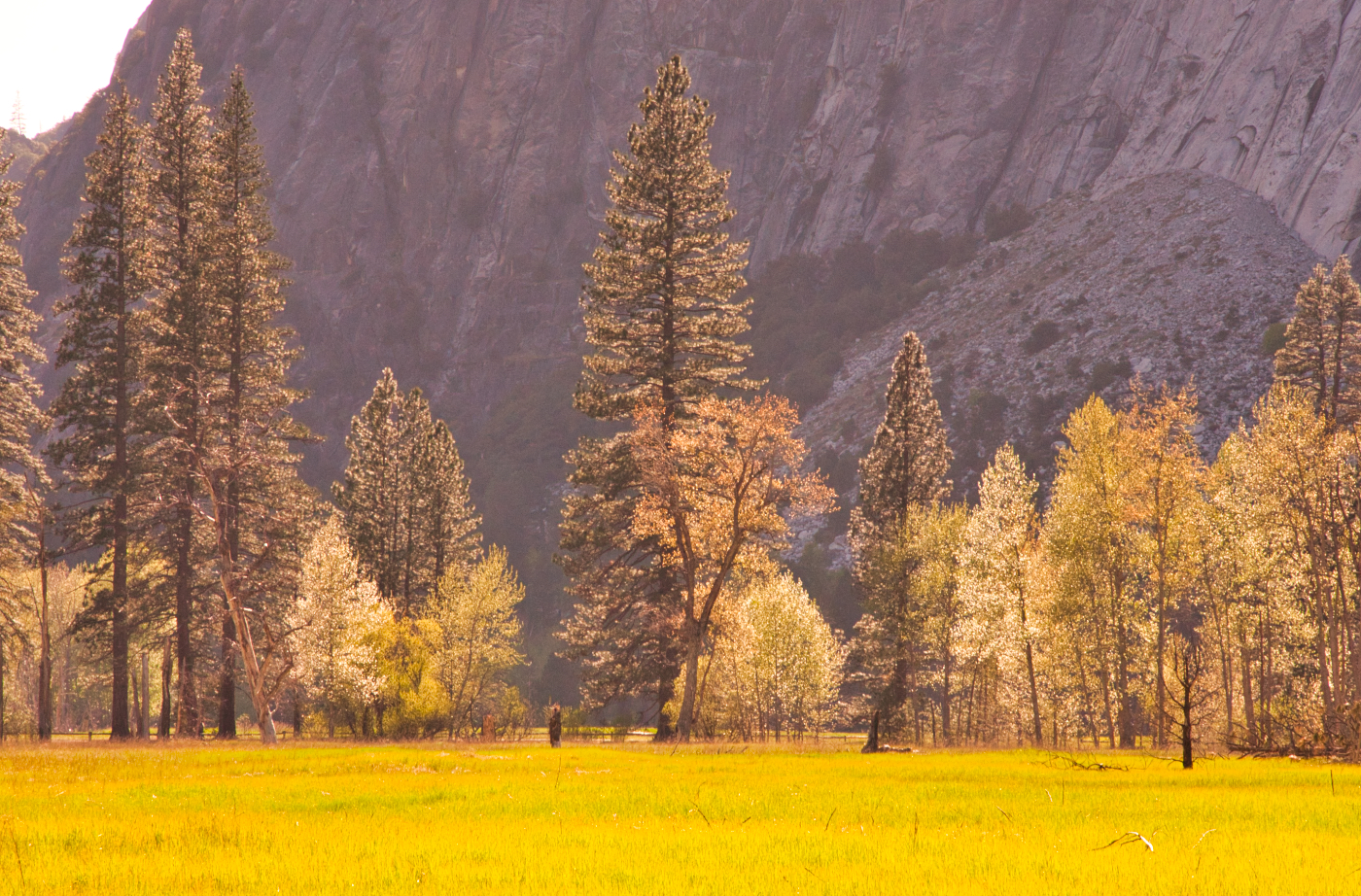 Yosemite Valley